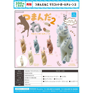 虾壳社 定金日本QUALIA扭蛋 被抓住的猫咪植绒挂件2 可爱 英短