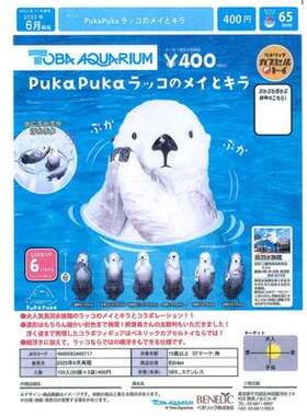 虾壳社 现货日本BENELIC扭蛋 PUKA PUKA 海獭 再贩 水中漂浮 杯挂