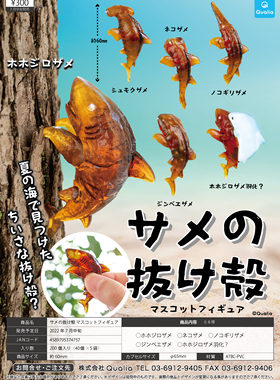 虾壳预售日本QUALIA扭蛋