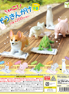 现货日本Yell扭蛋 柯基犬猪猫 变色龙模型 小动物值日生第二弹