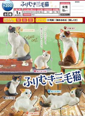 现货日本EPOCH扭蛋 橘猫榻榻米 动物模型摆件 可爱家养三花猫