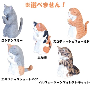 虾壳社 现货日本正版Yell盒蛋 盲盒合掌动物 猫篇 祈福摆件合掌猫