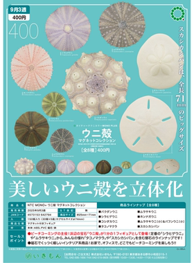 虾壳社 现货日本IKIMON扭蛋 海胆图鉴棘皮动物的壳海鲜摆件冰箱贴
