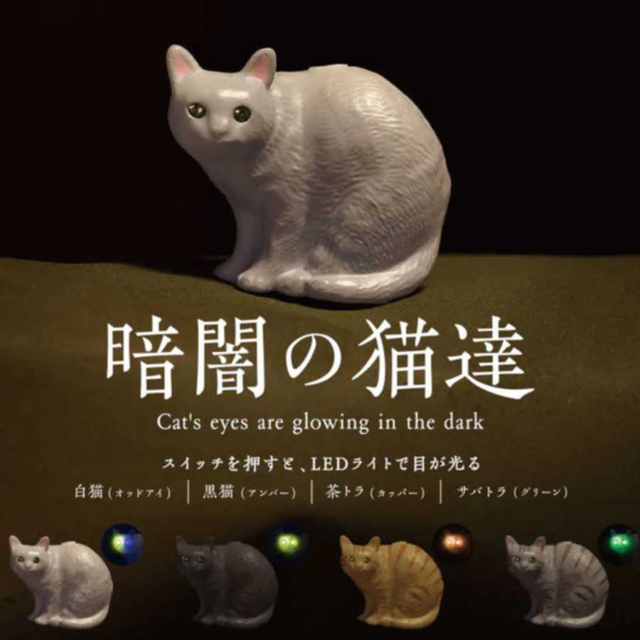 夜晚的猫咪led灯发光眼睛电眼