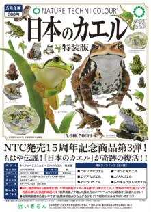 虾壳社 现货日本IKIMON扭蛋 日本的蛙 特装版 大蟾蜍雨蛙摆件仿真