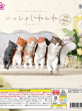 虾壳社 现货日本YELL扭蛋 倚肩而眠的猫咪们 摆件 午睡 动物 三花