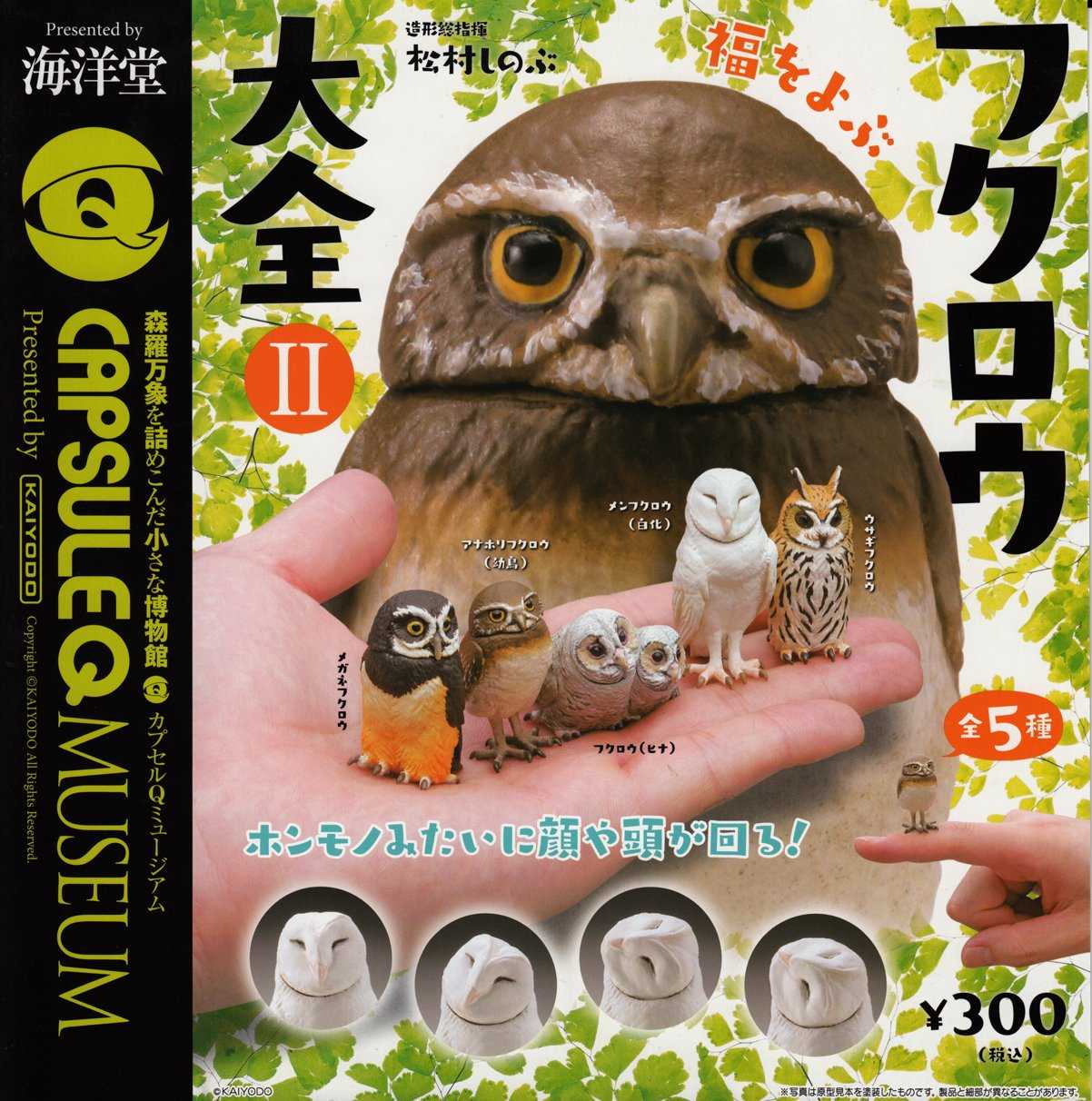 海洋堂猫头鹰百科全书图鉴