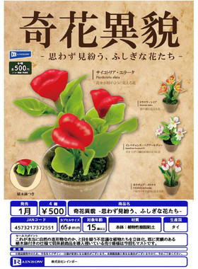 虾壳社 现货日本RAINBOW扭蛋 不常见的的花朵 盆栽摆件 微缩 模型