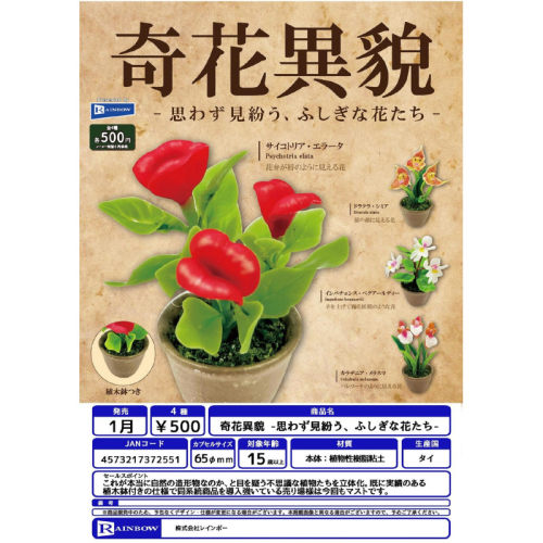 虾壳社 现货日本RAINBOW扭蛋 不常见的的花朵 盆栽摆件 微缩 模型