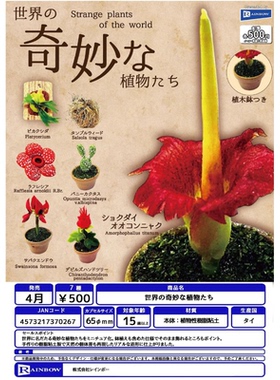 虾壳社 现货日本RAINBOW扭蛋 世界的奇妙植物们 摆件 迷你 仿真