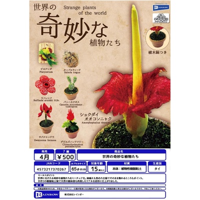 虾壳社 现货日本RAINBOW扭蛋 世界的奇妙植物们 摆件 迷你 仿真