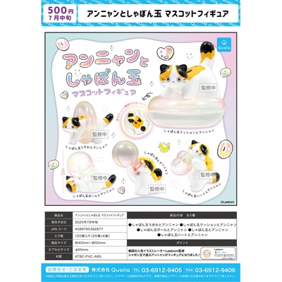 虾壳社 现货日本QUALIA扭蛋 玩球的三花小猫咪 游泳圈 动物 摆件