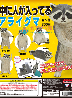 虾壳社 现货日本奇谭扭蛋 人模人样的浣熊 动物猫咪盲盒 模型手办