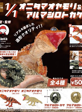 现货日本SO-TA扭蛋  蜥蜴手办 爬宠豹纹鬃狮 棘皮瘤尾守宫模型