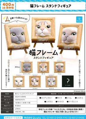 日本动物相框里的猫咪三花猫