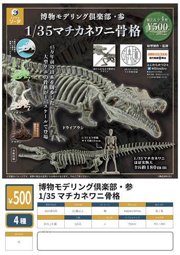 1/35鳄鱼与人类骨架化石