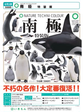 虾壳社 现货日本IKIMON扭蛋 南极生物摆件 特装版 再贩 企鹅 虎鲸