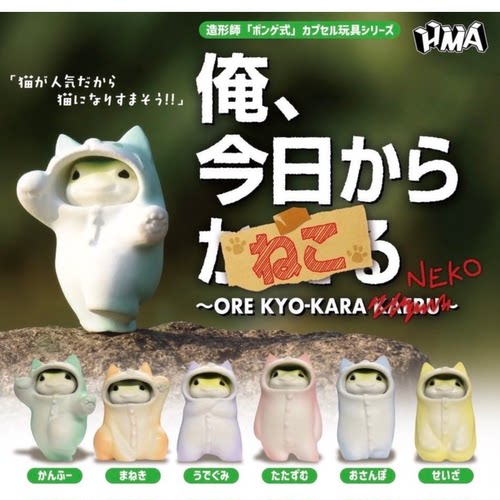 虾壳社 现货日本HMA扭蛋 我今天变成猫了 小青蛙摆件 可爱 猫咪套