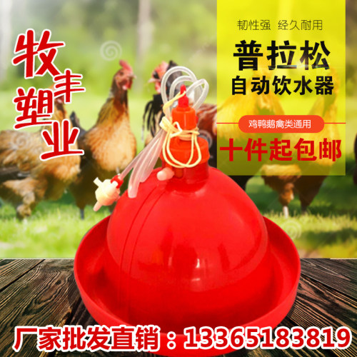 加厚鸡鸭鹅养殖自动饮水器