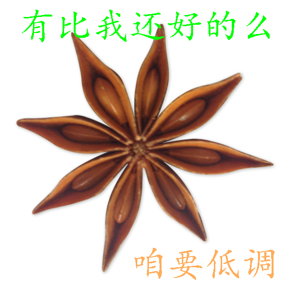 动感挑选八角大料烧菜炖肉250克