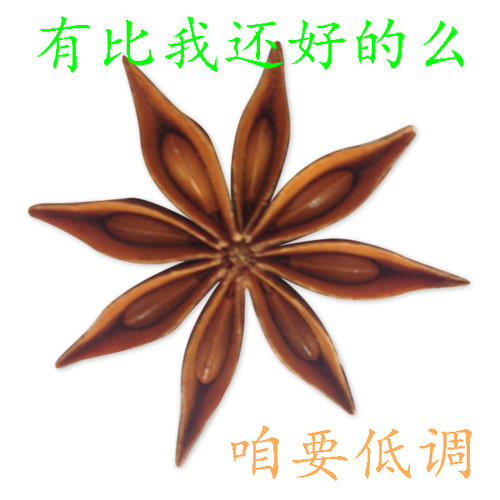 动感的靓丽与活力！百里挑一广西大山八角大料烧菜炖肉卤料250克 - 封面