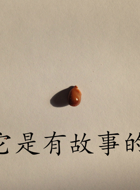 来，pick me，不二之选！骄阳晒干八角籽调味品50克客户说很好玩