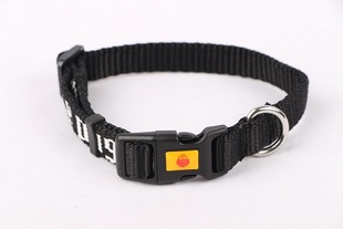 幼犬脖圈守护工作犬宠物户外遛狗项圈304不锈钢无缝D扣锦纶织带