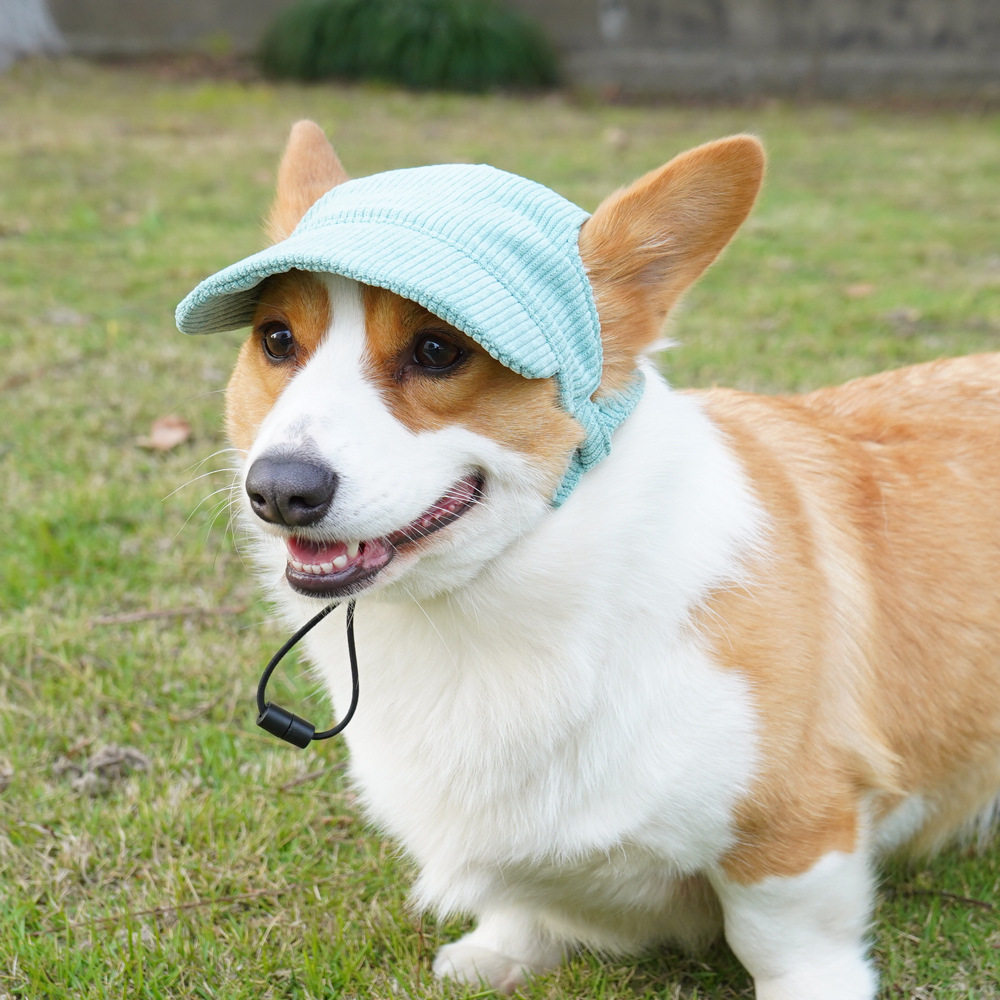 猫狗夏季宠物遮阳防晒棒球帽