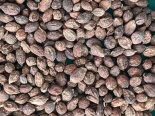 菘崖2025海南琼中南药益智仁益智子益智果干货带壳无硫