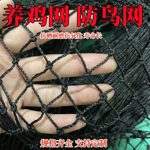 户外养鸡养殖网鸡鸭鹅养殖网