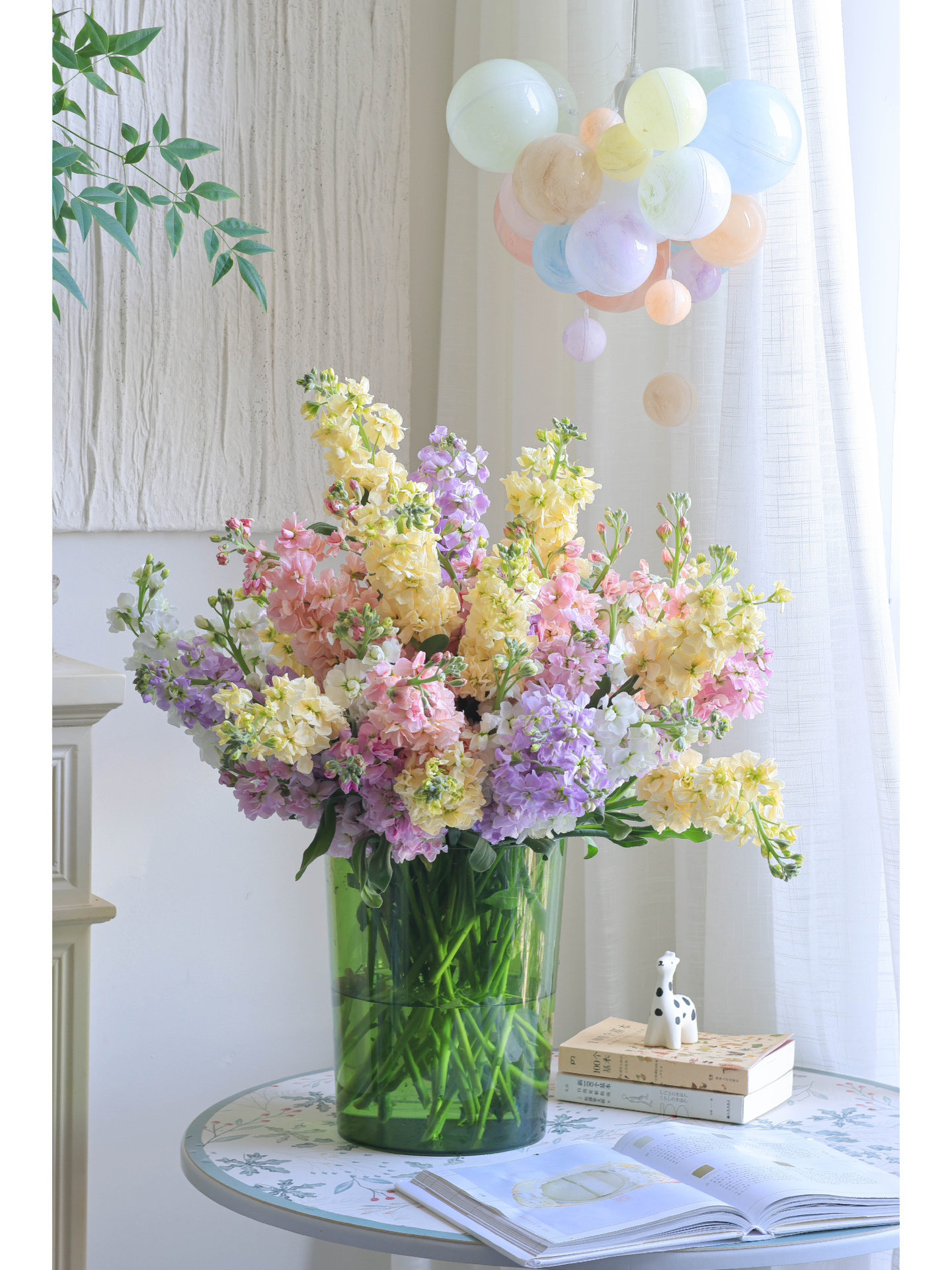 紫罗兰鲜花云南昆明基地鲜切花家庭办公室水养花团购花摆摊