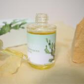 保湿 仙人掌籽油种子油 30ml 摩洛哥 山也