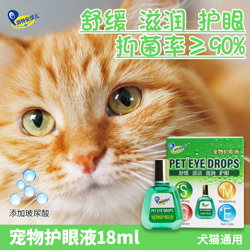 安琪儿宠物泰迪去泪痕角膜炎狗狗