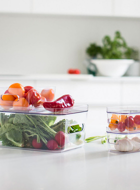 瑞典SmartStore冰箱透明收纳盒果蔬保鲜盒冷冻保鲜筐桌面杂物盒