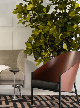 意大利Driade Pratfall欧式经典客厅休闲椅沙发椅单人扶手靠背椅