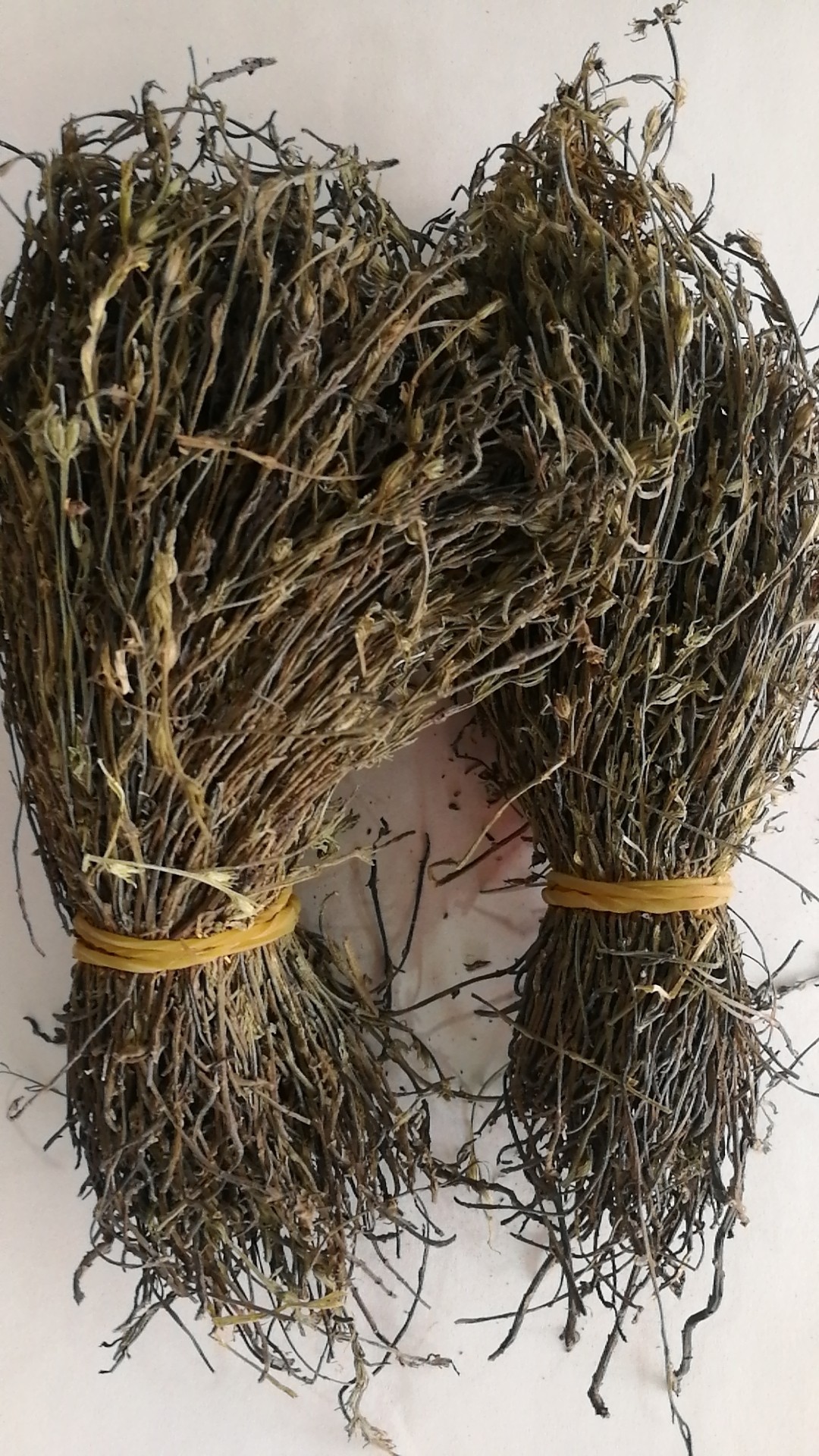 独脚金 一朵云 干草 矮脚子 中药材 100元100g包邮