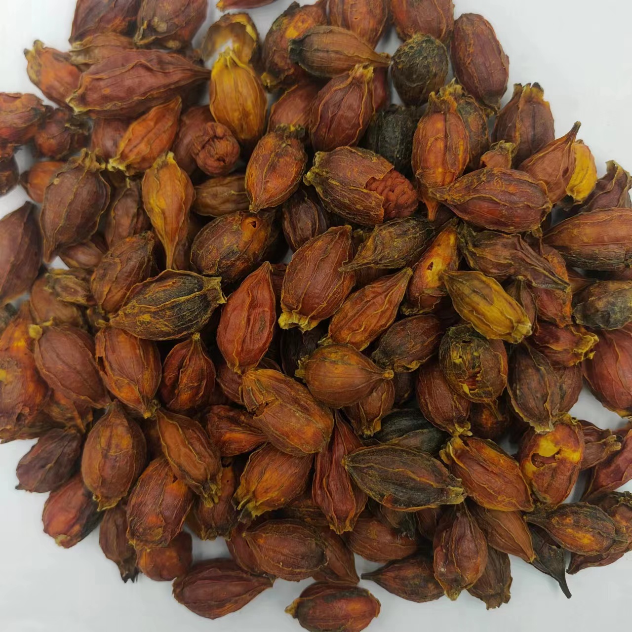 栀子 野生无硫山栀子 黄栀子 红栀子粉中药材批发供应500g克包邮