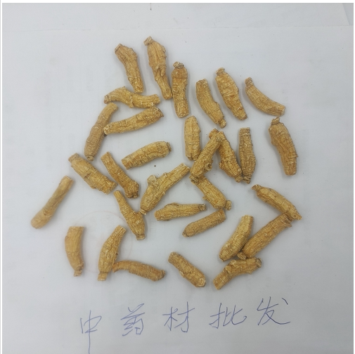 小西洋参段 西洋参 花旗参 花旗参段 中药材 大节 500克280元包邮