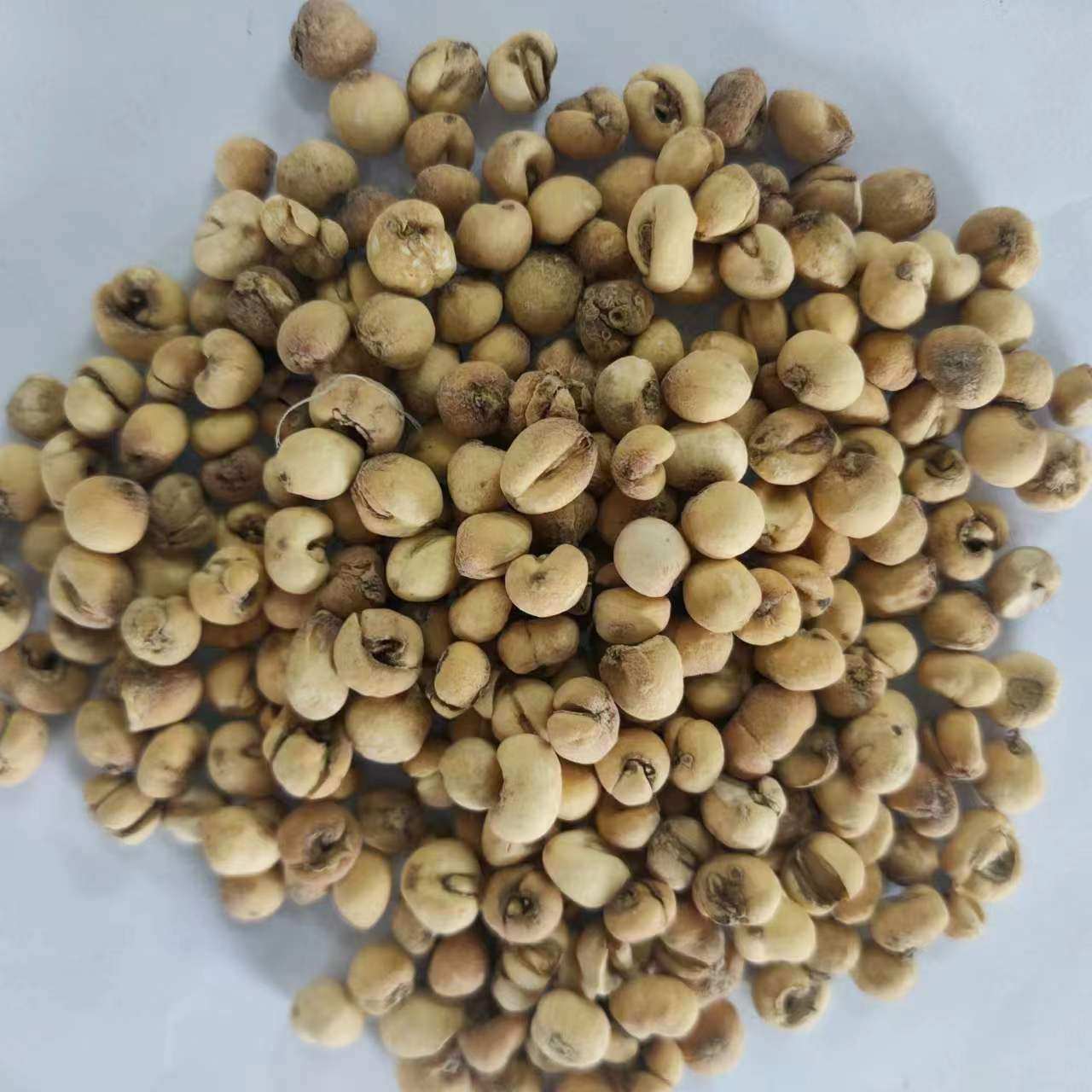 无硫川贝母 尖贝母 川贝 四川贝母 中药材磨粉 500g克200元包邮