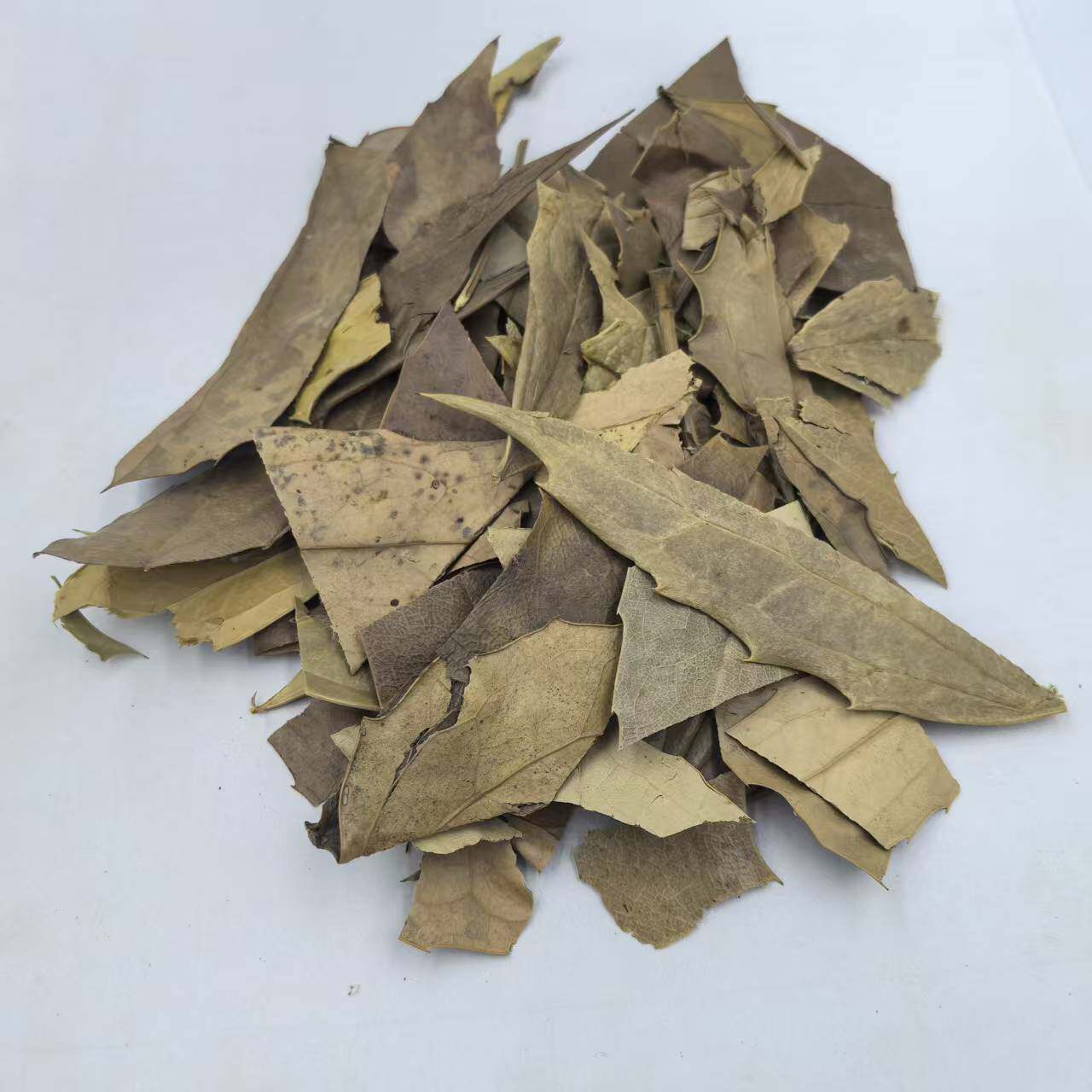 枸骨叶 十大功劳叶 狗骨茶 猫儿刺 500克21元包邮 中药材供应