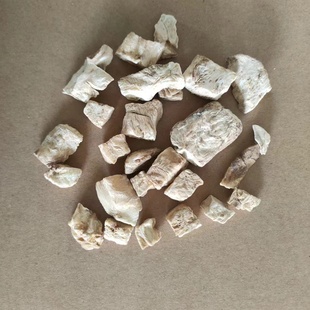 菊苣根片 正品无硫 苦苣茶苦菜玉兰根 500g包邮 正品中药材供应