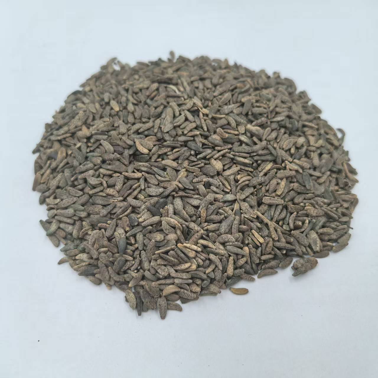 牛蒡子 野生无硫牛子 大力子 大力籽 中药材批发 500g包邮