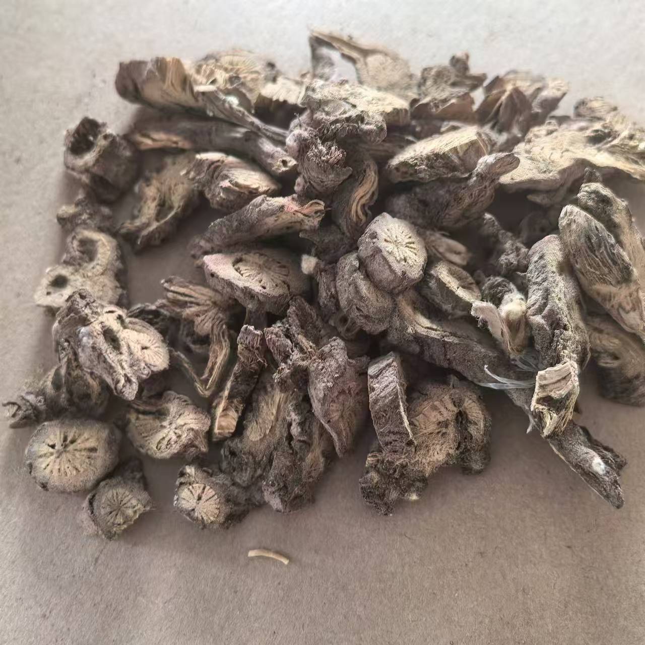 漏芦 2斤包邮 包装 野兰 鬼油麻 漏芦片 中药材 500g克22元