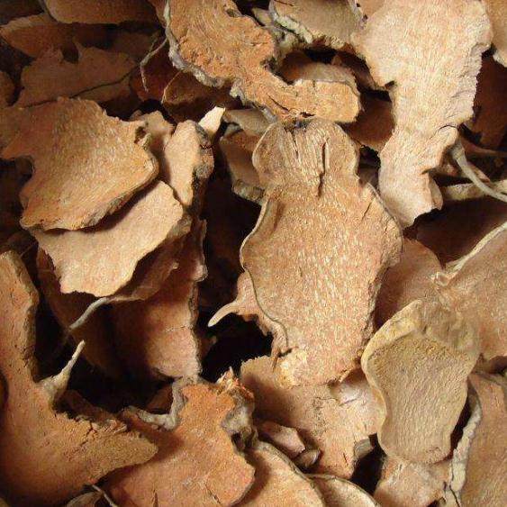 菝葜 拍3斤包邮 金刚刺 金刚藤 拔葜 拔契 菝契 中草药材 500g克