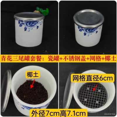 新款三尾罐套餐母蟋蟀母蛐蛐母油葫芦之用配产卵器送椰土蟋蟀用具