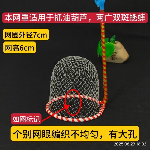 大号油葫芦黑虫抓网捉网罩两广双斑蟋蟀大网孔不漏油葫芦