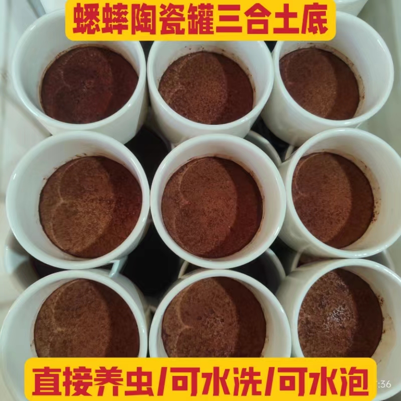 【1号蟋蟀陶瓷罐】瓷杯蟋蟀盆蛐蛐罐瓷罐铁皮盖宁阳泗店20个包邮