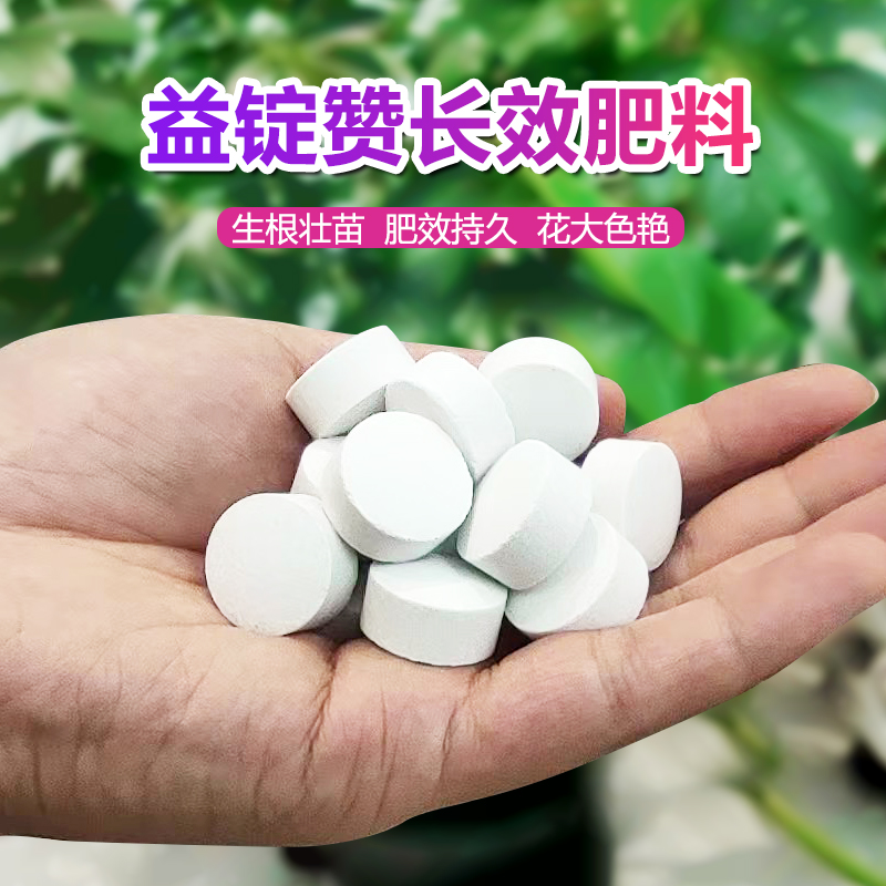 植物营养缓释片绿植多肉花卉通用