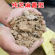 纯麻酱渣豆饼肥马掌肥马蹄掌颗粒缓释肥腐熟发酵蔬菜通用有机肥料