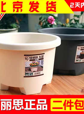 爱丽思9号圆形树脂花盆 大花盆阳台种花盆6.1L 盆栽绿植球根花盆